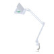 Лампа лупа ММ-5-127-С (LED) тип 1